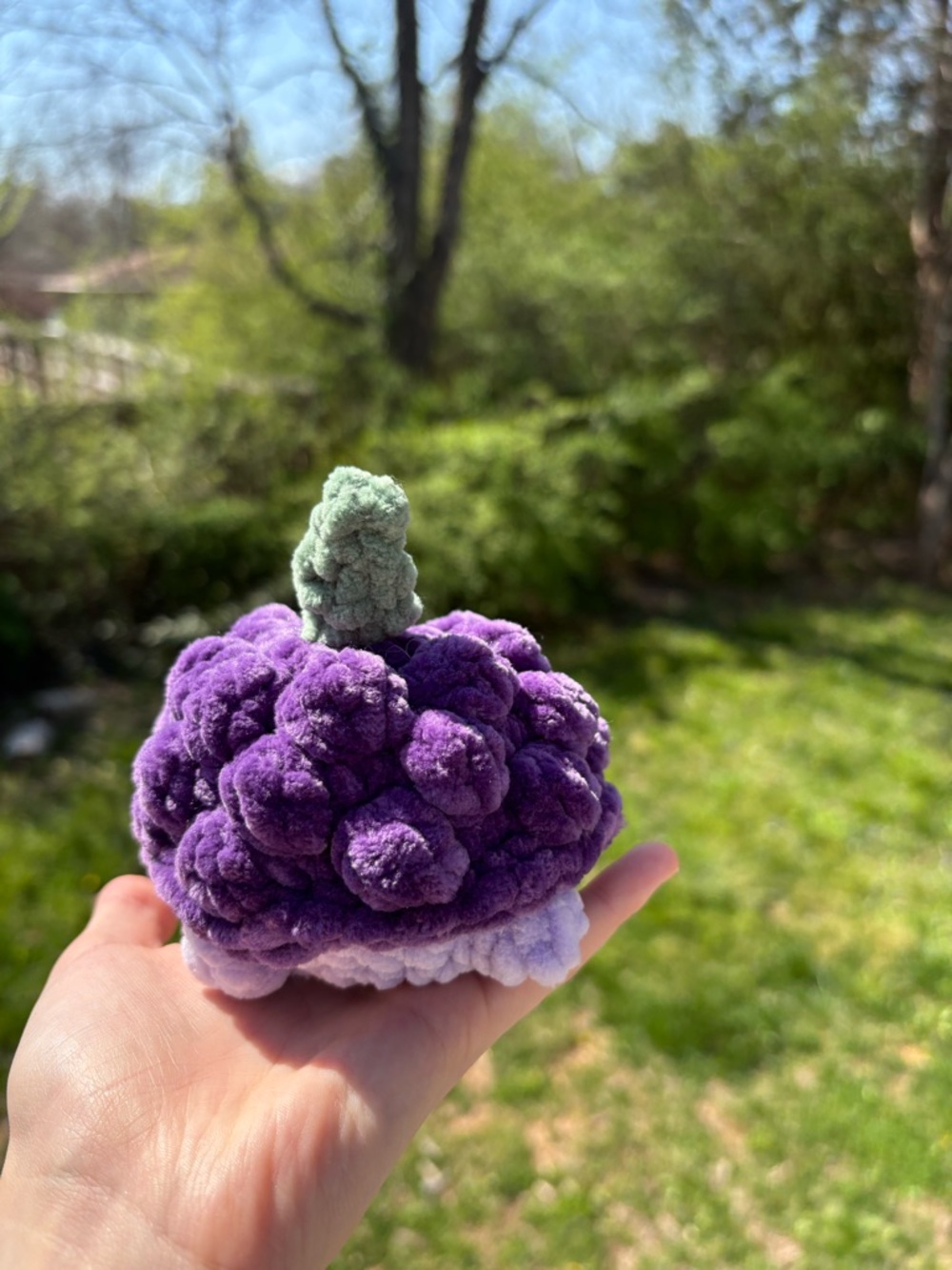 Handmade Crochet Grape Turtle Plush π β Cute Kawaii Gift - Picture 4 of 7